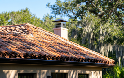 The Silent Home Wrecker: How Algae and Mold Damage Your Roof (and How to Prevent It)